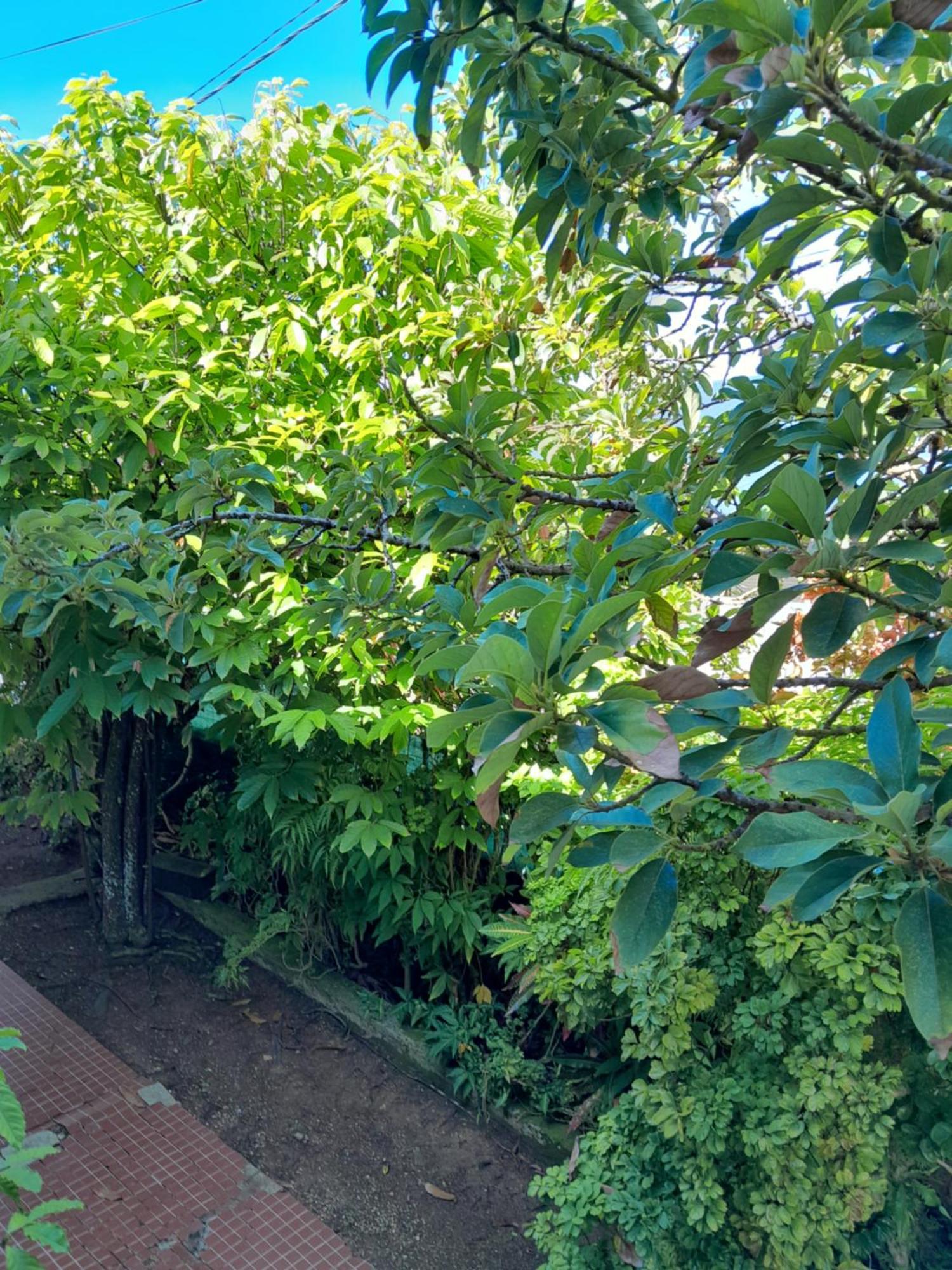 L'ilet Cacao Holiday home Le Gosier (Grande-Terre)