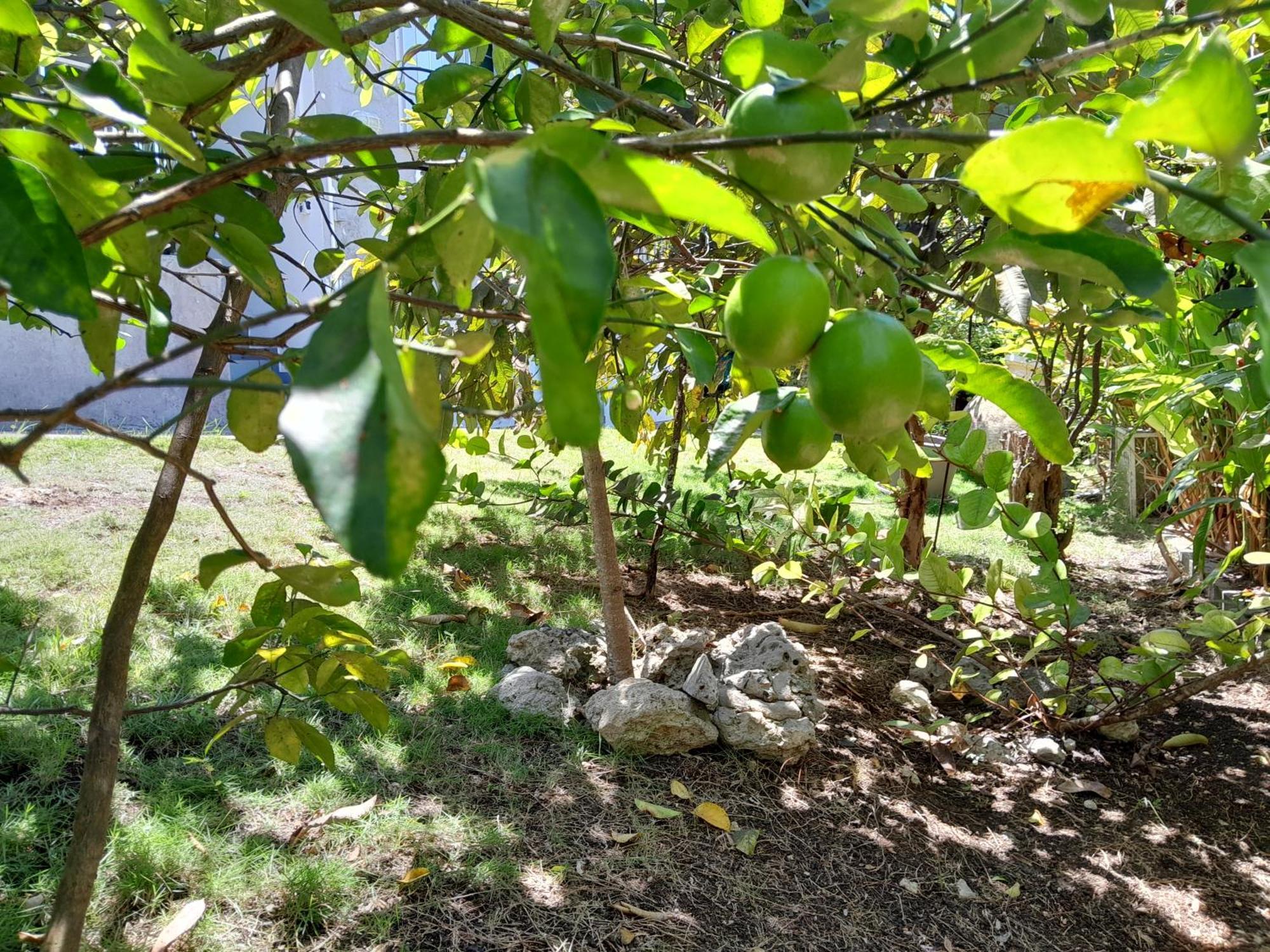 L'ilet Cacao Holiday home